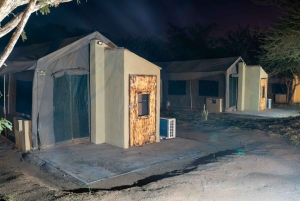 3 Tage Dumela Tented Camp Safari