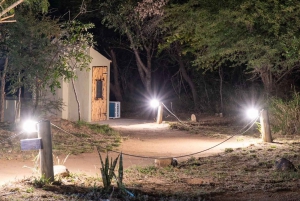 3 Tage Dumela Tented Camp Safari