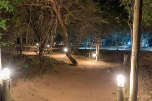 3 Tage Dumela Tented Camp Safari