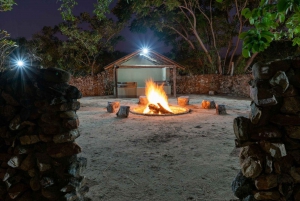 3 Tage Dumela Tented Camp Safari