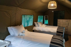 3-dagars budget Kruger Glamping Safari