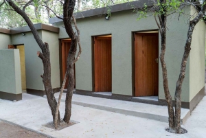 3-dagars budget Kruger Glamping Safari