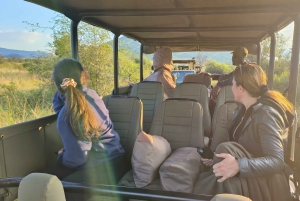 3-daagse Pilanesberg Tlou En-Suite Tented Safari