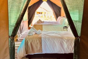 3-daagse Pilanesberg Tlou En-Suite Tented Safari
