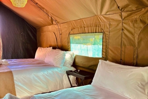 3-daagse Pilanesberg Tlou En-Suite Tented Safari