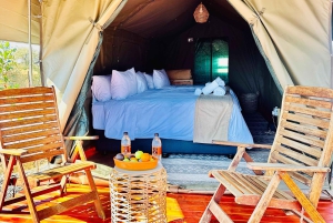 4-Day Pilanesberg Tlou En-Suite Tented Safari