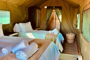 4-Day Pilanesberg Tlou En-Suite Tented Safari
