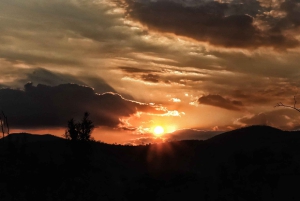 4-Day Pilanesberg Tlou En-Suite Tented Safari