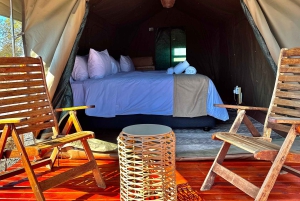 4-Day Pilanesberg Tlou En-Suite Tented Safari
