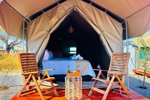 4-Day Pilanesberg Tlou En-Suite Tented Safari