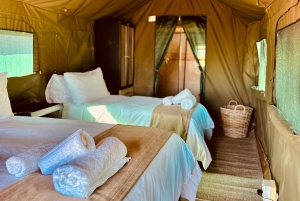 4-Day Pilanesberg Tlou En-Suite Tented Safari