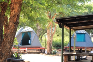 4-dniowe safari w Pilanesberg Tlou Tented