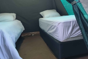 4-dniowe safari w Pilanesberg Tlou Tented