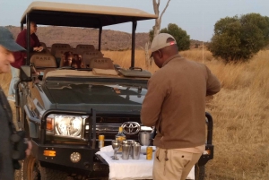 5 Tage 4 Nächte Safari Tour in Madikwe und Pilanersbeg