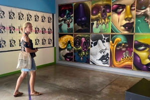 Johannesburg: Braamfontein Street Art & Kultur-Tour