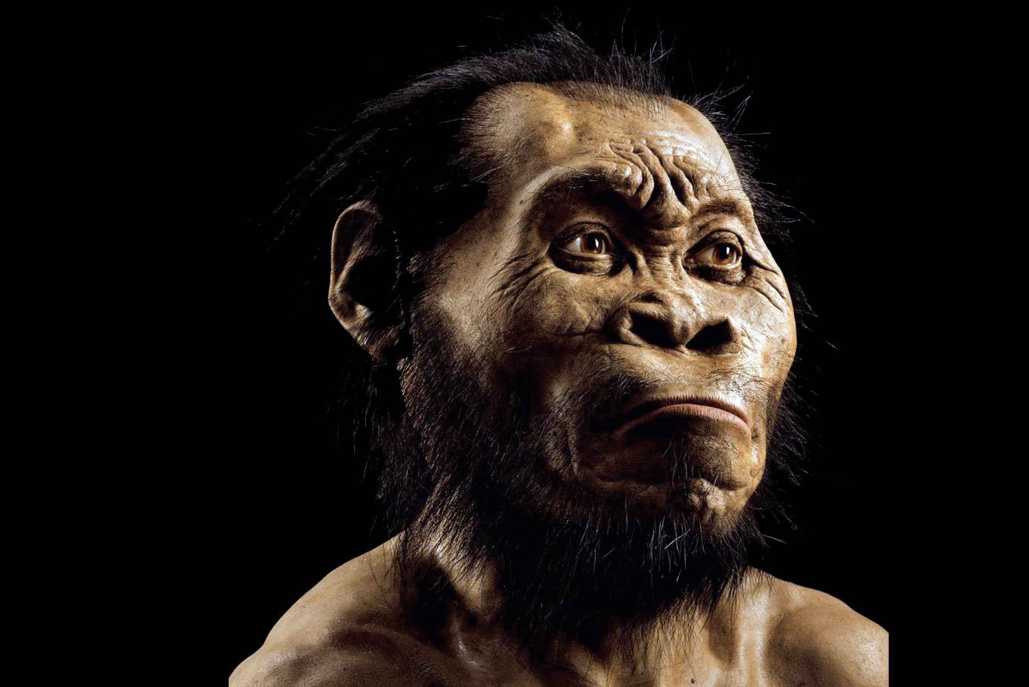 Cradle of Humankind and Sterkfontein Caves Half-Day Tour