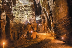 Fra Johannesburg: Tur til menneskehedens vugge