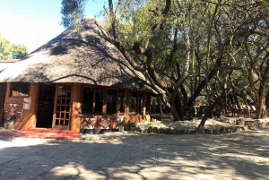 ヨハネスブルグ郊外の文化体験