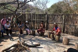 ヨハネスブルグ郊外の文化体験