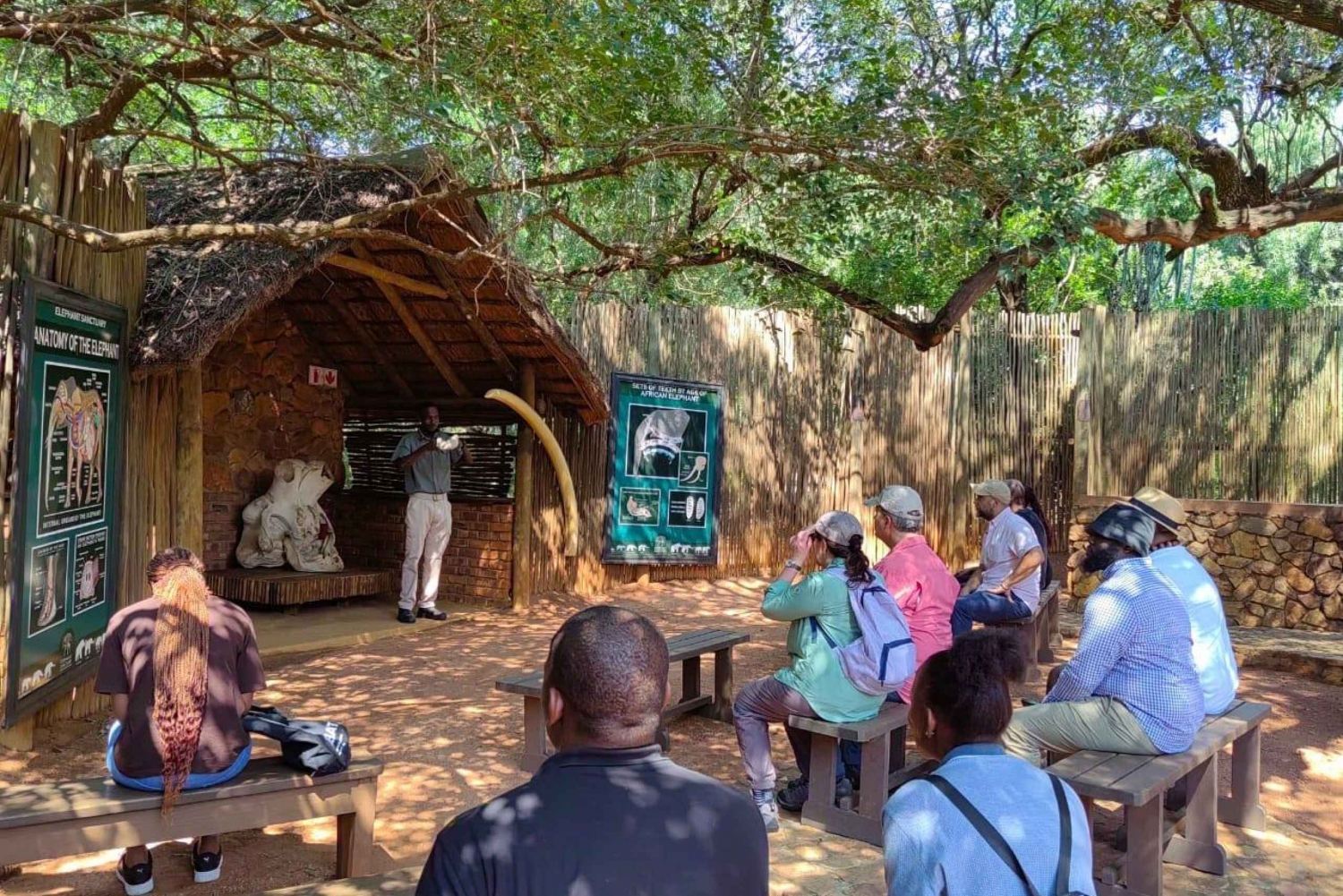 Visite du sanctuaire des éléphants et des singes et du parc des lions