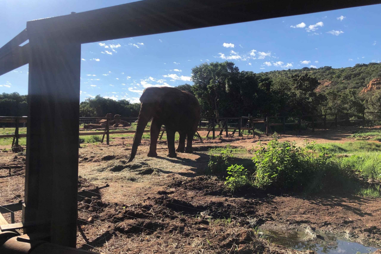 Visite du sanctuaire des éléphants depuis Johannesburg