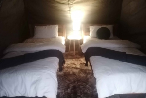 De Joanesburgo: Safari de 2 dias no Parque Nacional Kruger em tendas