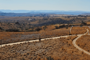 Yksityinen Johannesburgista: 2 tunnin elefanttikohtaaminen