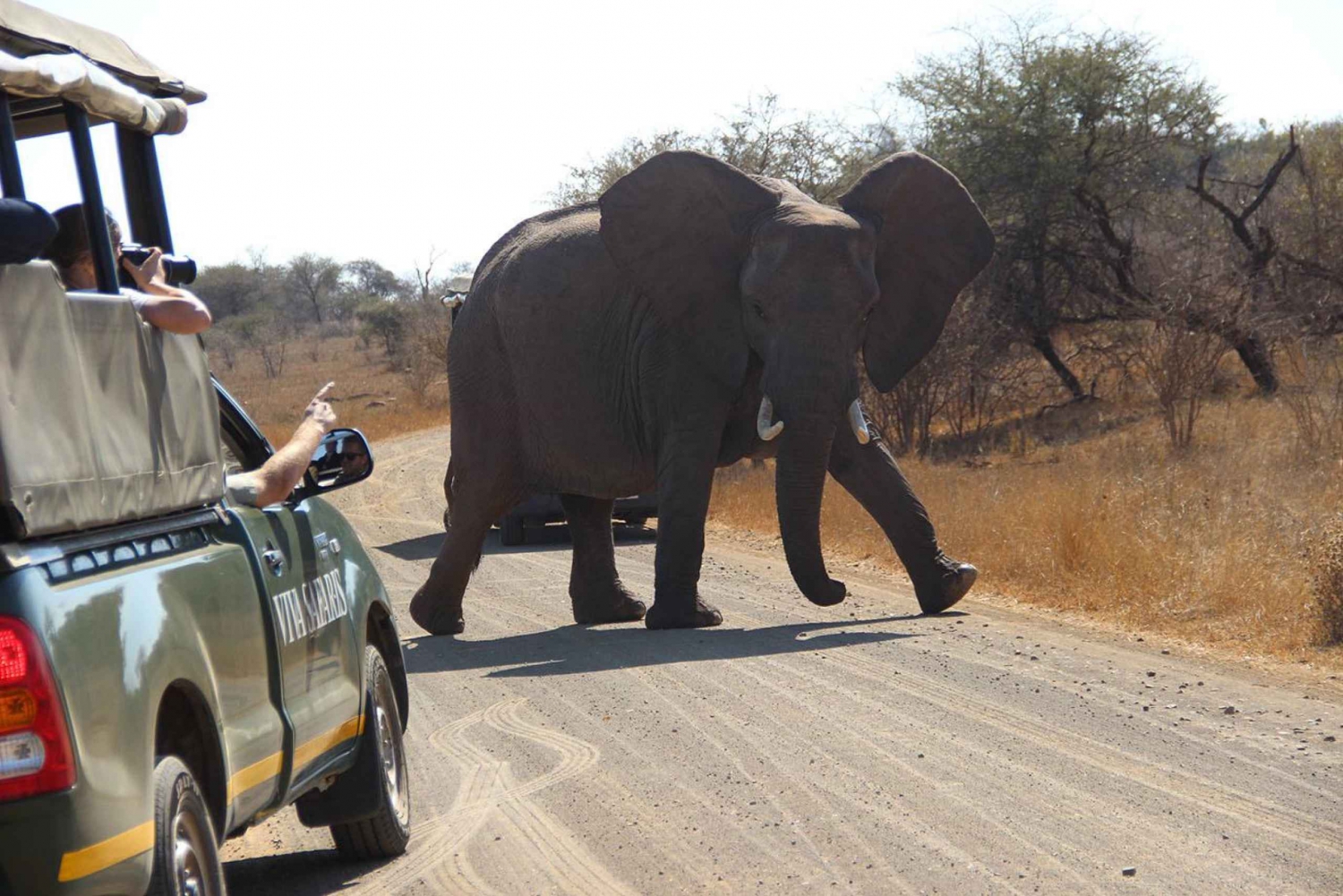 Vanuit Johannesburg: 6-daagse klassieke Kruger National Park safari