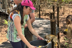 Da Johannesburg: Escursione di un giorno al santuario degli elefanti e delle scimmie