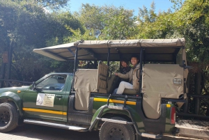 From Johannesburg: Full-Day Kruger National Park Safari