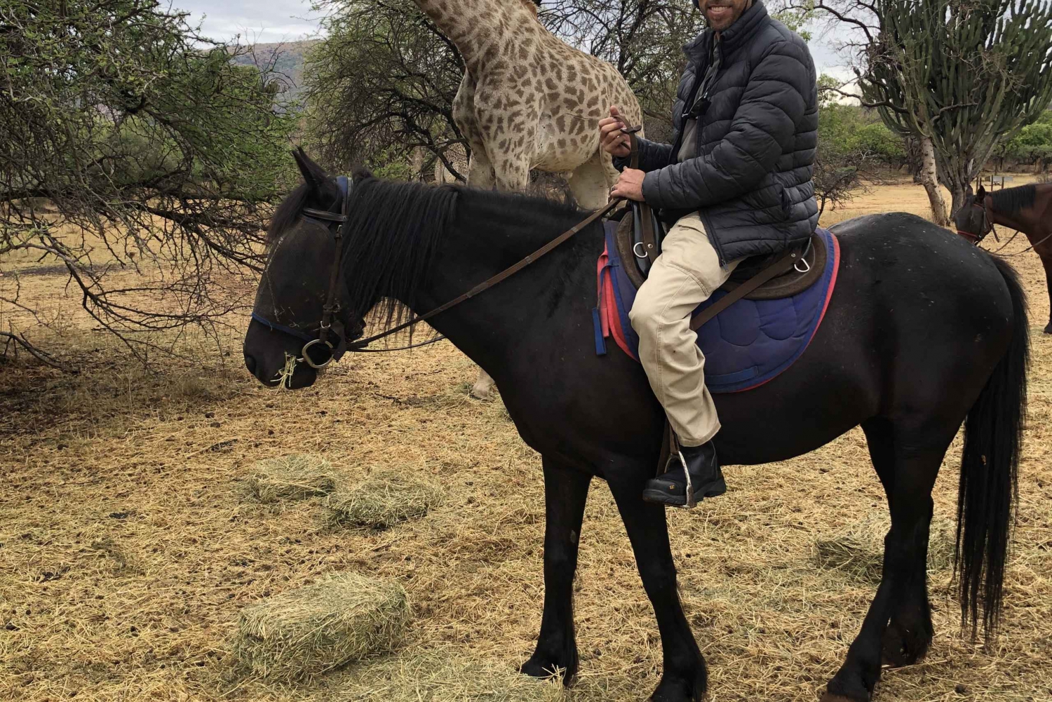 Au départ de Johannesburg : Safari à cheval et excursion en téléphérique