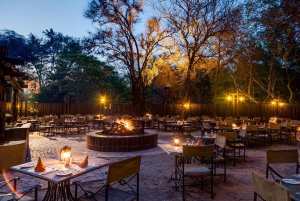 From Johannesburg: Kruger National Park 3-Day Safari