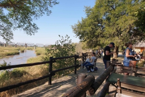 From Johannesburg: Kruger National Park 3-Day Safari