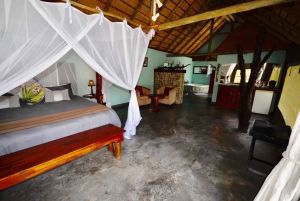 Von Johannesburg aus: 5-tägige Luxus-Safari im Krüger-Nationalpark