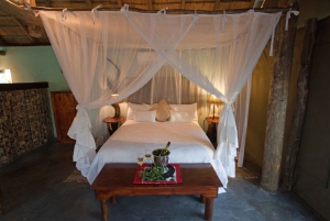 Von Johannesburg aus: 5-tägige Luxus-Safari im Krüger-Nationalpark