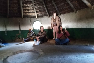 Da Johannesburg: Villaggio culturale di Lesedi e tour del Parco dei leoni