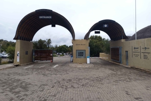 Da Johannesburg: Villaggio culturale di Lesedi e tour del Parco dei leoni