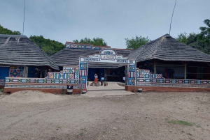 Da Johannesburg: Villaggio culturale di Lesedi e tour del Parco dei leoni