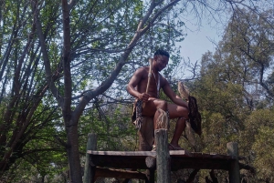 Da Johannesburg: Villaggio culturale di Lesedi e tour del Parco dei leoni