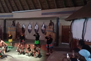 Da Johannesburg: Villaggio culturale di Lesedi e tour del Parco dei leoni