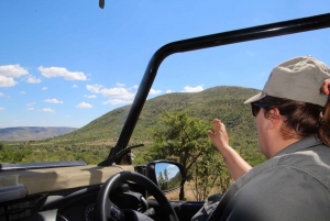 From Johannesburg: Pilanesberg Nature Reserve Game Safari