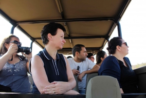 From Johannesburg: Pilanesberg Nature Reserve Game Safari