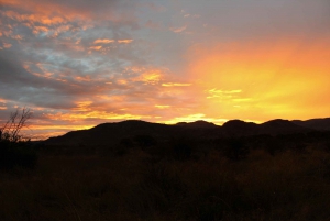 From Johannesburg: Pilanesberg Nature Reserve Game Safari