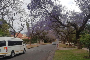 Desde Johannesburgo: tour de 1 día a Pretoria