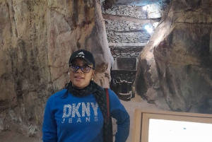 Heldagstur til Soweto, Johannesburg og Apartheidmuseet