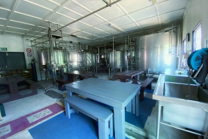 Jo'berg in 1 Day: Soweto, Apartheid Museum & City Tour