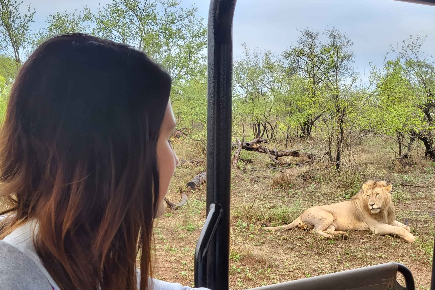 Joburg: prywatne 4-dniowe safari dla kobiet w Parku Krugera i wycieczka z panoramą