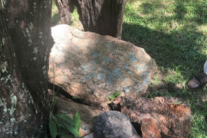 Johannesburgo: Excursión de día completo al sitio del Patrimonio Mundial de la Cúpula de Vredefort