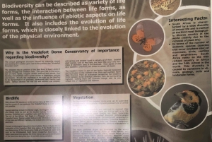 Johannesburgo: Excursión de día completo al sitio del Patrimonio Mundial de la Cúpula de Vredefort