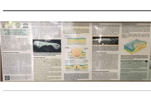 Johannesburgo: Excursión de día completo al sitio del Patrimonio Mundial de la Cúpula de Vredefort